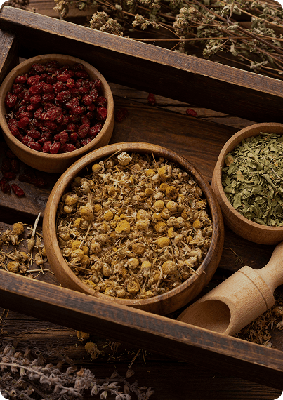 Indian Spices