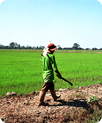 SupHerb Herbal Farming For Natural Ayurvedic Wellness Products