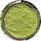 Moringa Powder