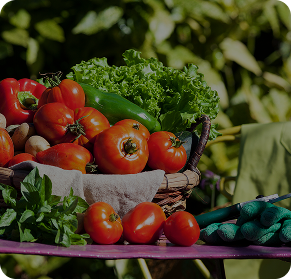 Farm's Fresh